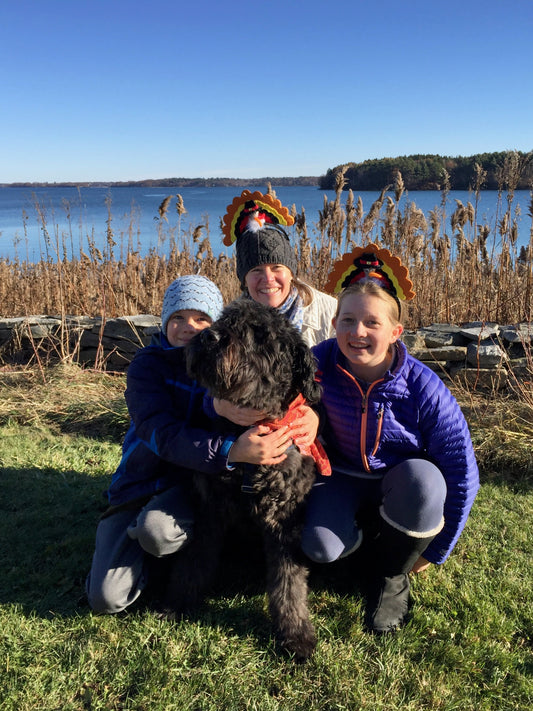 Problem Solving Through Family Meetings: A Personal Reflection